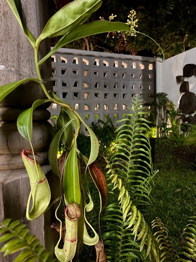 Ikiru 18 Private Saltwater Pool Villa, 3 Ensuite Br, Outdoor Bbq, 5 Mins To Beach Pantai Cenang  Exterior photo